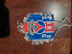 Vlag van PSG Paris Saint-Germain, Verzenden