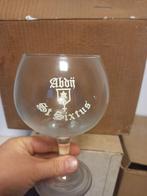 St Sixtius glas, Ophalen of Verzenden, Zo goed als nieuw, Glas of Glazen, Overige merken
