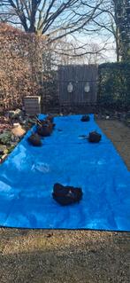 Bamboe, Tuin en Terras, Ophalen