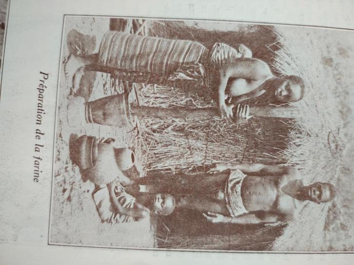 1931 Elisabethville International Fair (Belgisch-Congo), Boeken, Geschiedenis | Nationaal, Gelezen, 20e eeuw of later, Verzenden