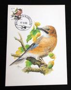 André Buzin Belgie 1993 Vlaamse gaai maximumkaart vogels, Verzenden