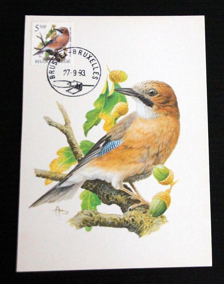 André Buzin Belgie 1993 Vlaamse gaai maximumkaart vogels, Postzegels en Munten, Bankbiljetten | België, Verzenden