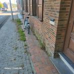 Appartement a loué ninove, 50 m² of meer, Provincie Oost-Vlaanderen