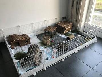 Cavia verblijven hekjes voor buiten en binnen LEES DE TEKST beschikbaar voor biedingen