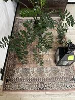 tapijt, Ophalen, Klassiek, Zo goed als nieuw, Grijs