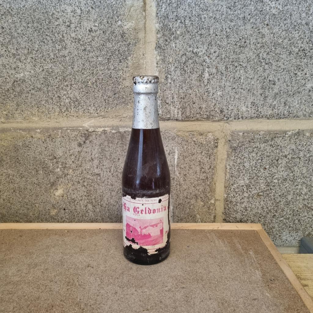 Bouteille de bière La Geldonia (modèle 1), Enlèvement ou Envoi, Utilisé, Bouteille(s), Autres marques