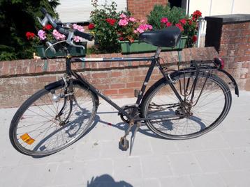vélo pour homme (POUR ÉTUDIANTS DE COURTE DURÉE), Autres marques, Vitesses, 65 cm ou plus, Enlèvement