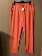 Nieuwe winterse dames broek (48), Kleding | Dames, Grote Maten, Ophalen, Overige kleuren, Nieuw, Broek of Spijkerbroek
