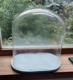 Cloche en verre antique, Enlèvement