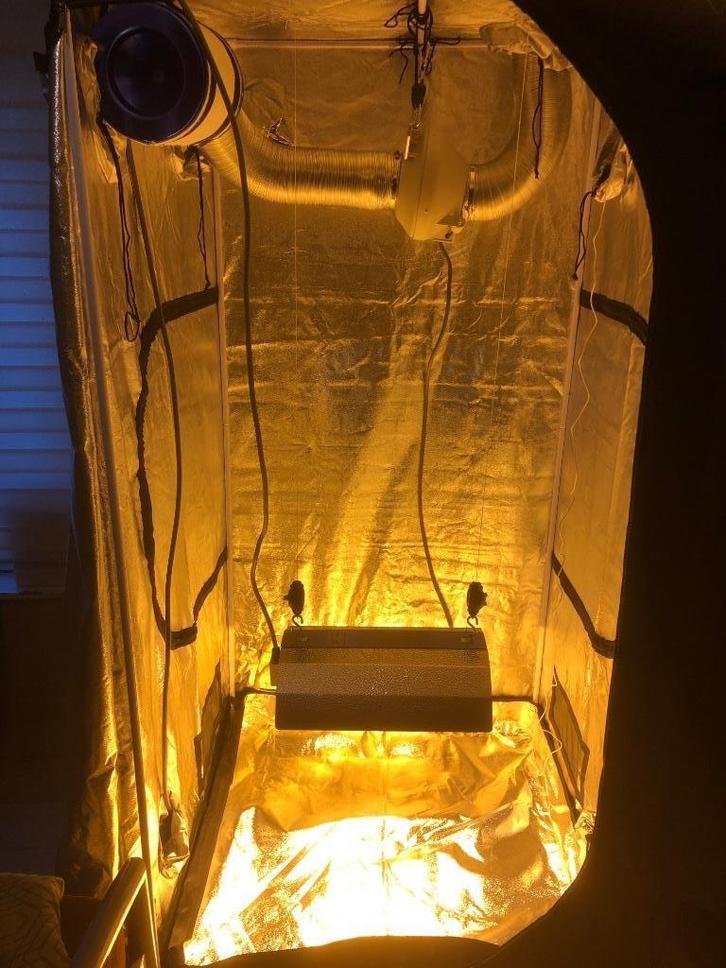 Tente de culture, Tuin en Terras, Kweekspullen, Nieuw, Kweektent, Ophalen