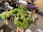 Heb bloem 28 juni aangekocht, Ophalen