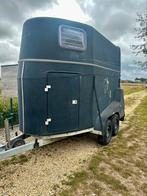 Paardentrailer Top Trailers, Ophalen, Gebruikt, 2-paards trailer