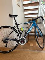 Canyon Endurace CF 7 (2021) maat S, Enlèvement, Utilisé, Carbone
