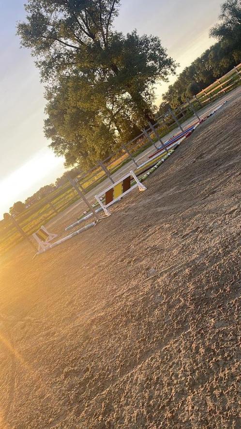 Stalling te huur, Dieren en Toebehoren, Stalling en Weidegang, Stalling