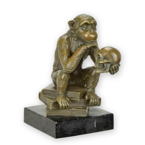 Bronzen Beeld van darwin aap op boeken GRATIS LEVERING, Antiek en Kunst, Antiek | Brons en Koper, Brons, Verzenden