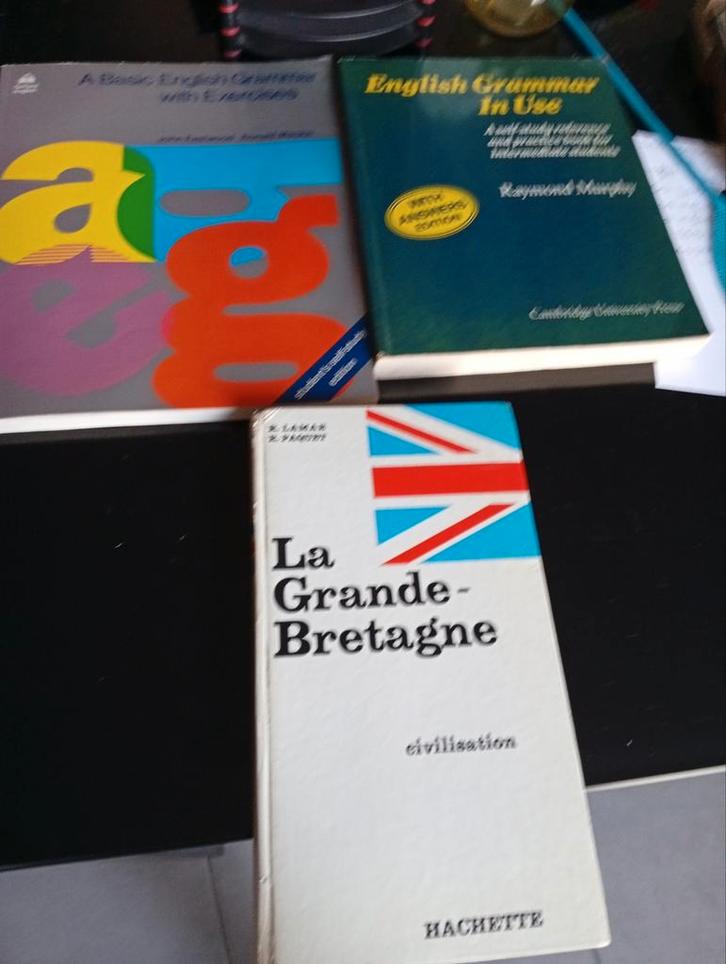 3 boeken voor Engels, Boeken, Taal | Engels, Zo goed als nieuw, Ophalen of Verzenden