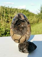 Groot Septarian Ei (drakeneeg) Madagaskar, Ophalen of Verzenden, Fossiel