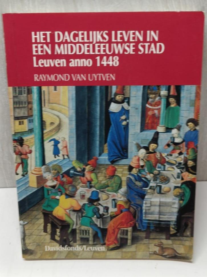 het dagelijks leven in een middeleeuwse stad leuven anno 144, Boeken, Geschiedenis | Stad en Regio, Zo goed als nieuw, Ophalen of Verzenden