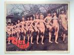 C'Mon Let's Live A Little - Original lobby card 1967, Gebruikt, Rechthoekig Liggend, Ophalen of Verzenden, A1 t/m A3