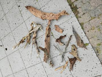 Aquarium hout beschikbaar voor biedingen