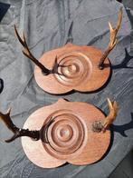 Bois de cerf décoratifs, Collections, Collections Animaux, Enlèvement, Comme neuf, Cerf, Autres types