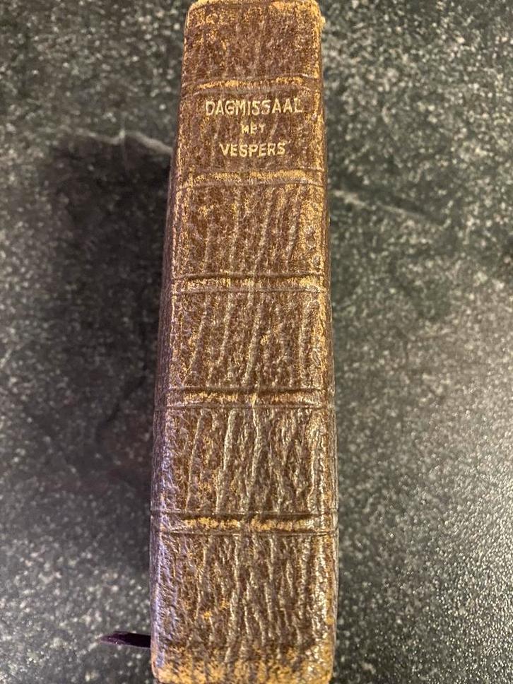 Dagmissaal met Vespers bruine kaft, Boeken, Godsdienst en Theologie, Gelezen, Christendom | Katholiek, Ophalen