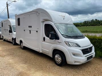 Mooie paardecamionette 30 000km!! beschikbaar voor biedingen