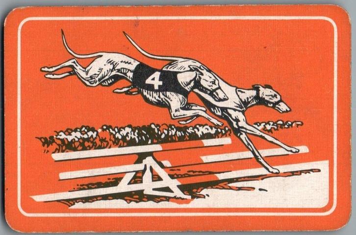 speelkaart - LK13311 - Hondenrennen, Verzamelen, Speelkaarten, Jokers en Kwartetten, Gebruikt, Speelkaart(en), Verzenden