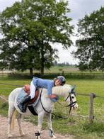 Zadelmak maken, Dieren en Toebehoren, Paarden, Zadelmak