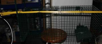 cage piège pour indésirables beschikbaar voor biedingen