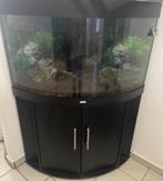Aquarium, Animaux & Accessoires, Poissons | Aquariums & Accessoires, Enlèvement, Comme neuf, Aquarium vide