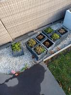 Bloempotten, Tuin en Terras, Ophalen