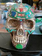 Unieke schedel uit collectie mag weg door verhuis, Verzamelen, Ophalen of Verzenden, Zo goed als nieuw