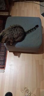 Poef ikea 55 op 55 cm, Enlèvement