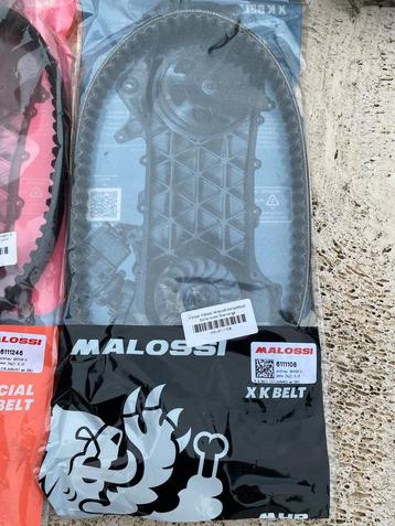 Malossi v-snaar xk belt &x special belt beschikbaar voor biedingen