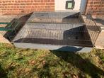 Cage à lapins, Moins de 60 cm, Cage, Cobaye, Enlèvement