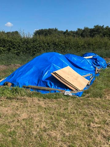 Droog Gekoven Dennen Brandhout beschikbaar voor biedingen