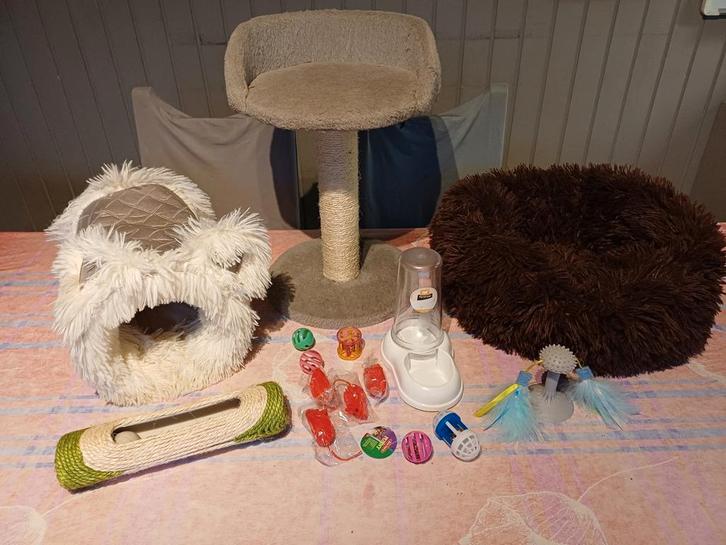 Pakketje spullen voor kittens, Dieren en Toebehoren, Katten-accessoires, Gebruikt, Ophalen of Verzenden