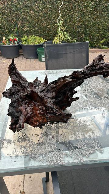 Groot stuk aquarium hout beschikbaar voor biedingen