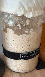 Actieve zuurdesem starter 50g., Ophalen