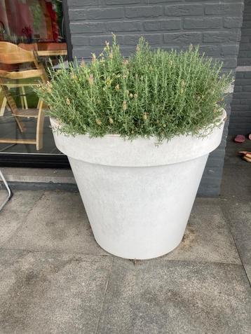 Grote bloembak bloempot buiten, Rond, Jardin, Synthétique, Enlèvement