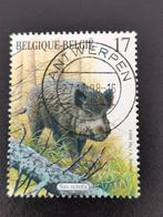 Belgie 1998 - Zoogdieren van de Ardennen - Everzwijn, Postzegels en Munten, Postzegels | Europa | België, Ophalen of Verzenden