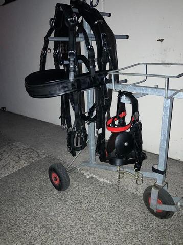 Enkelspan Marathon beschikbaar voor biedingen