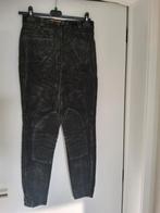 Paard rijbroek dames-meisjes nieuw, Dieren en Toebehoren, Paardrijkleding, Ophalen of Verzenden, Dames