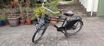 Popal Daily Dutch Basic+ Jongensfiets 24inch 3 versnellingen, Fietsen en Brommers, Ophalen, Gebruikt, 24 inch, Versnellingen
