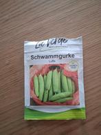 Luffa zaden, Tuin en Terras, Bloembollen en Zaden, Ophalen of Verzenden, Voorjaar, Volle zon, Zaad