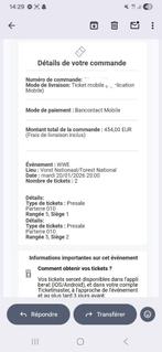 A vendre ticket WWE, Tickets en Kaartjes, Twee personen, Januari