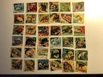 Panini Stickers Super zoo, Collections, Comme neuf, Animal et Nature, Enlèvement ou Envoi