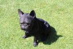 Een zittende Franse balhondhond van natuurlijke grootte., Ophalen, Nieuw, Kunststof, Dierenbeeld