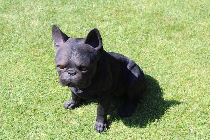 Een zittende Franse balhondhond van natuurlijke grootte., Tuin en Terras, Tuinbeelden, Nieuw, Dierenbeeld, Kunststof, Ophalen